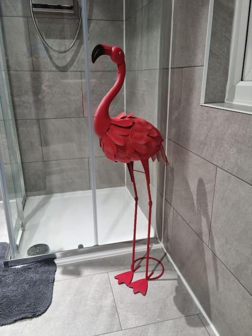 Flamingos Nest Oxford Countryside Apartment Oxford - Bicester Village - Blenheim Palace - Wifi- Free Parking Exterior photo